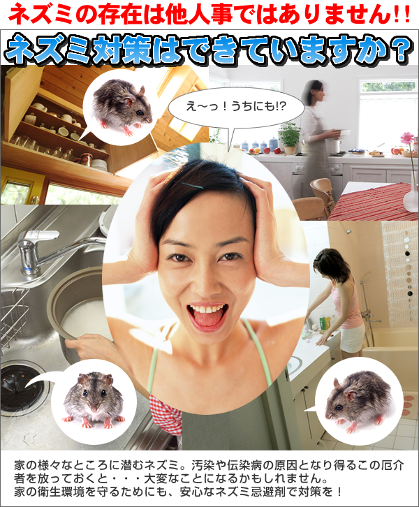 ネズミ対策 ラットバスター 2本組 2本組の画像