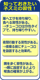 知っておきたいネズミの習性
