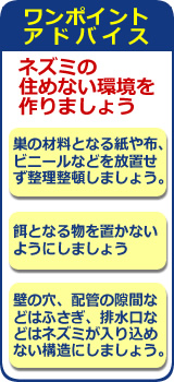 ワンポイントアドバイス