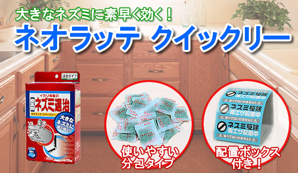ネオラッテ クイックリーのトップ画像