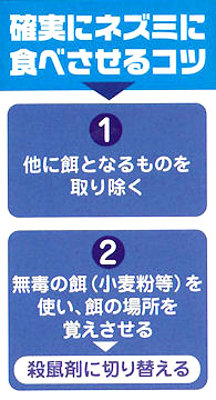 ネオラッテ クイックリーの設置例