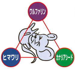ワルファリン配合