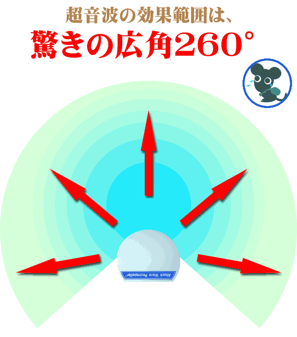 広角の260度