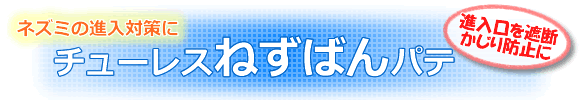 `[X˂΂pẽgbv摜