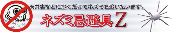 lY~Z̃gbv摜