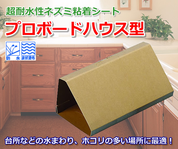 v{[hnEX^̃gbv摜
