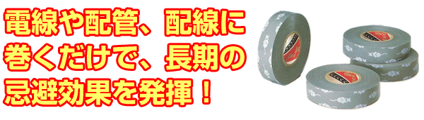 hlrje[ṽgbv摜