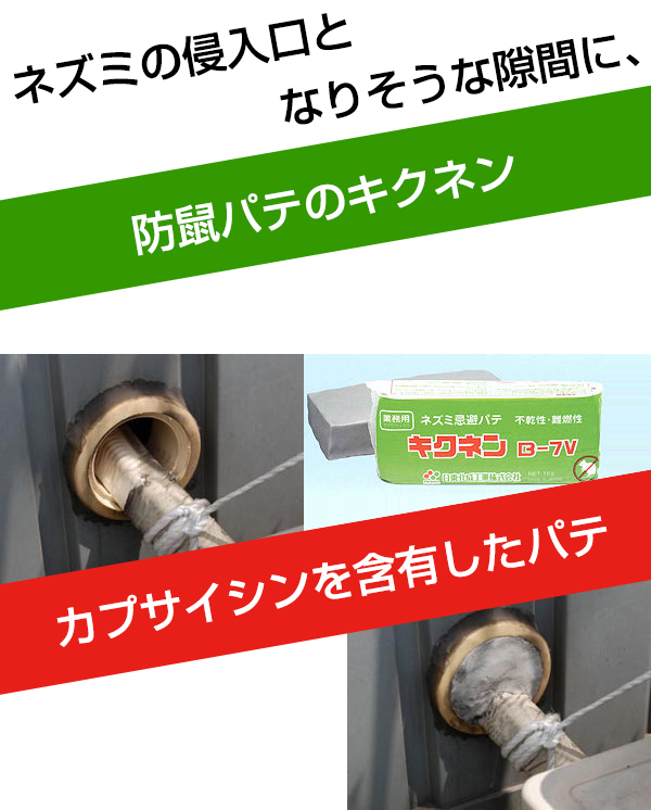 LNl̃gbv摜